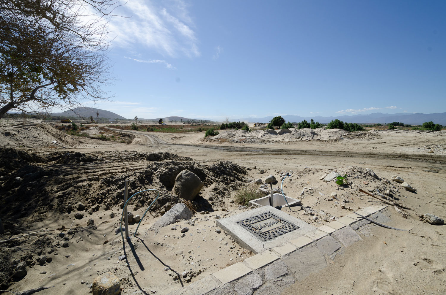 Costa Palmas | Legal action