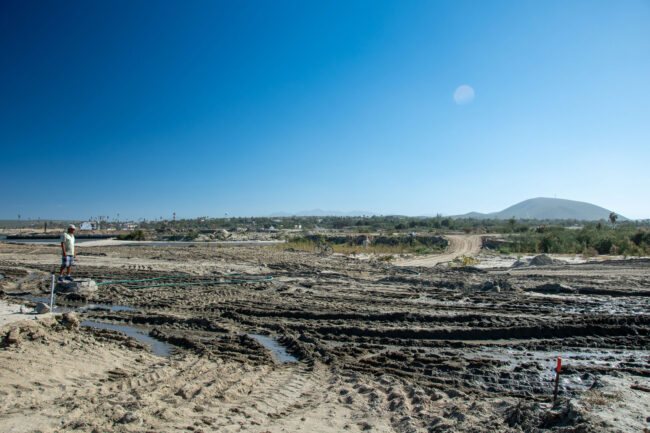 Costa Palmas | Legal action